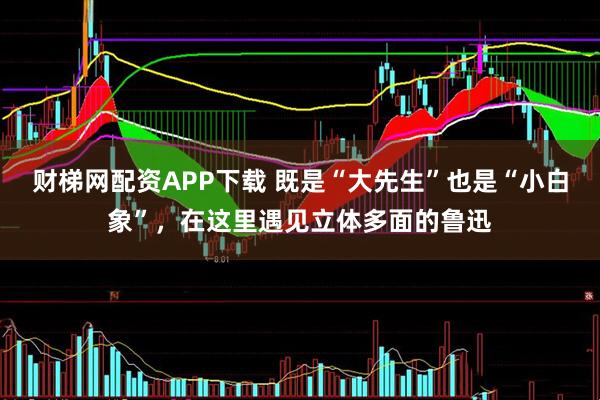财梯网配资APP下载 既是“大先生”也是“小白象”，在这里遇见立体多面的鲁迅