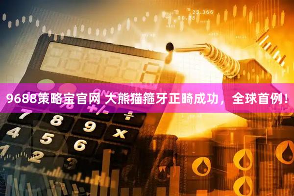 9688策略宝官网 大熊猫箍牙正畸成功,全球首例!