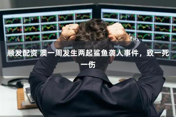 顺发配资 澳一周发生两起鲨鱼袭人事件,致一死一伤
