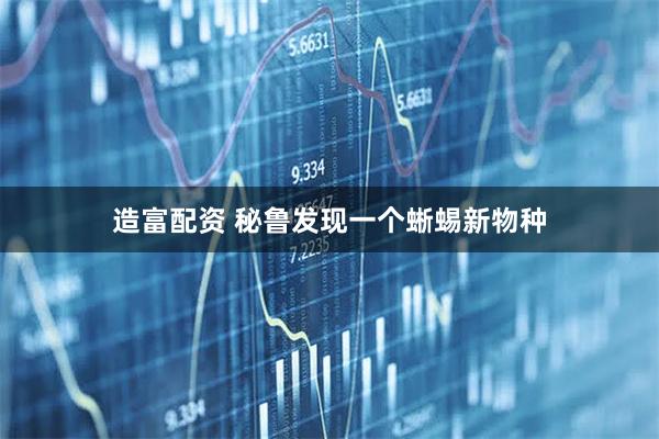 造富配资 秘鲁发现一个蜥蜴新物种